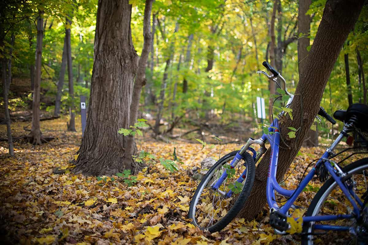 Bike Skills Path 1 - Winona Community Foundation