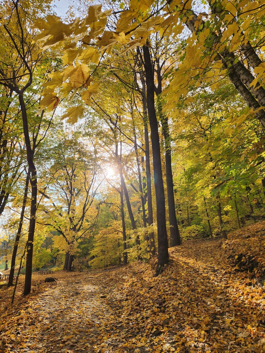 Bluffside Park Holzinger Trail Fall TW1 - Winona Community Foundation