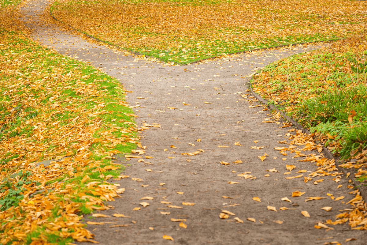 Images 1 1 - Winona Community Foundation