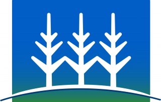 Ln Square Logo Only 1 - Winona Community Foundation