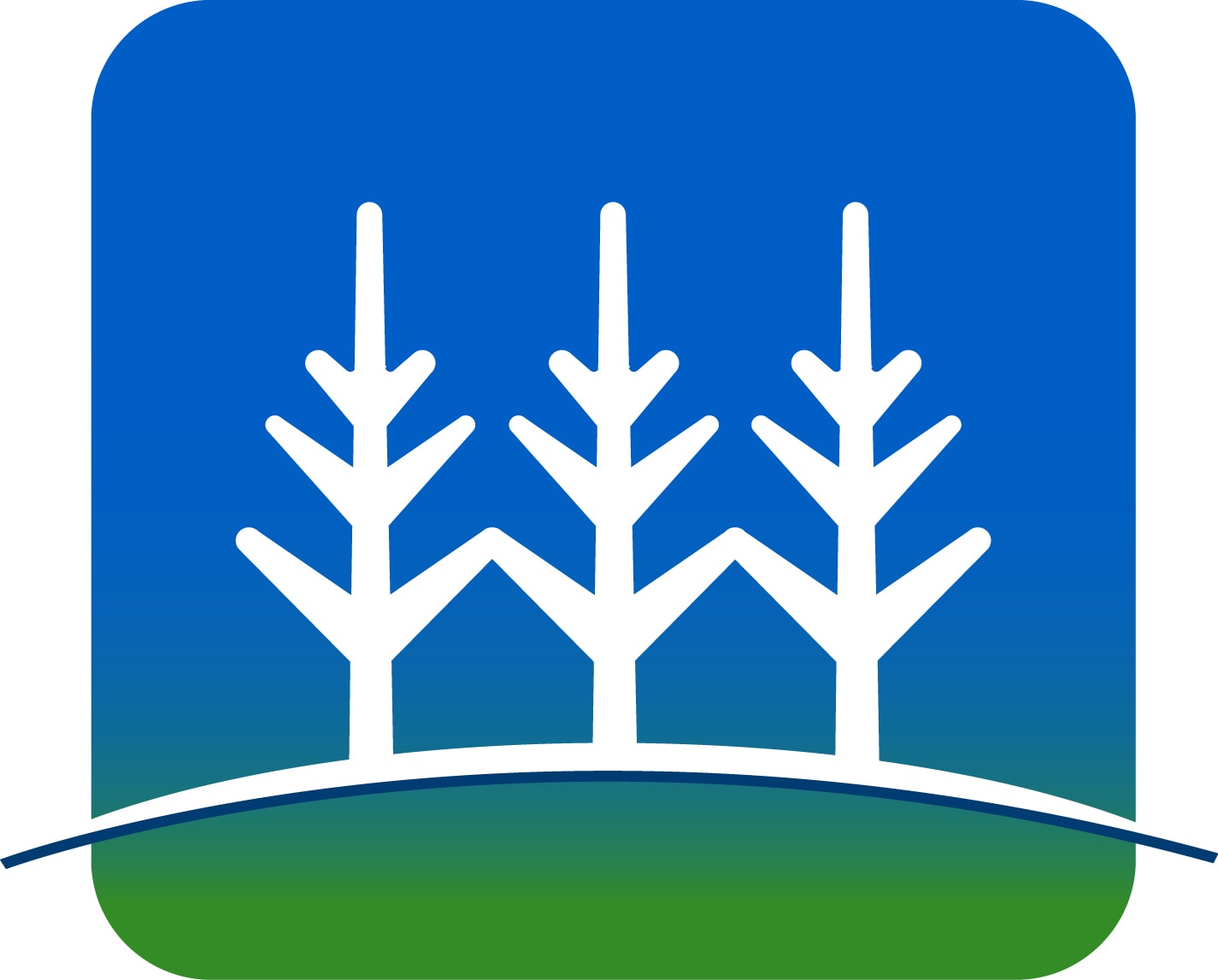 Ln Square Logo Only 1 - Winona Community Foundation